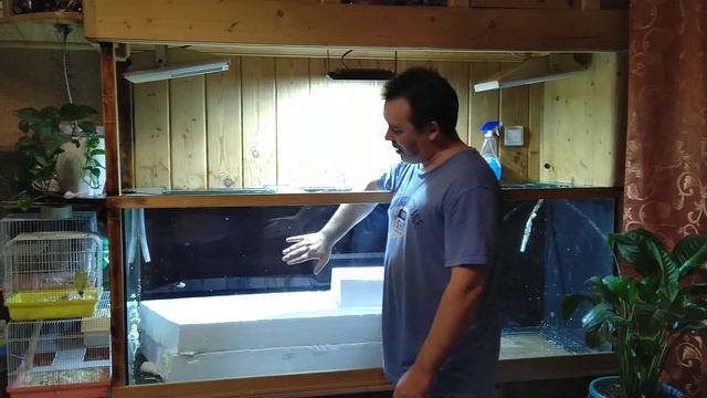 Декорации для аквариума своими руками смотреть онлайн