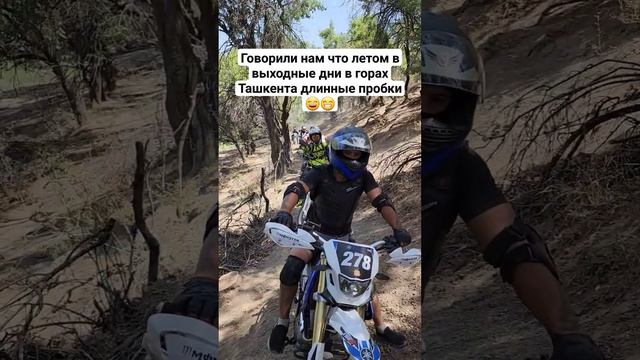 Говорили нам что летом в выходные дни в горах Ташкента длинные пробки?? смотреть онлайн