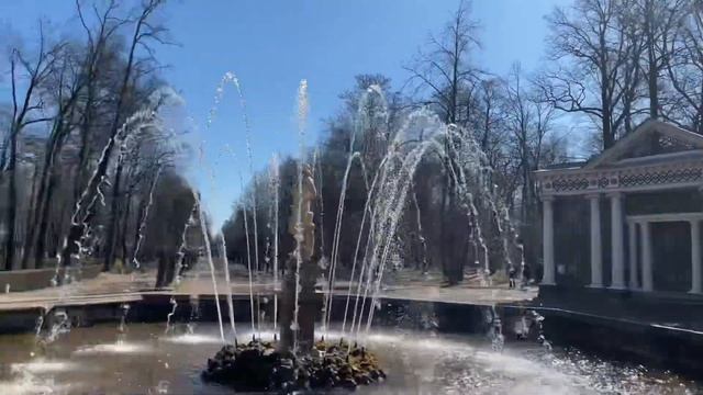 Фонтаны в Петергофе первый день работы в 2023 году! смотреть онлайн
