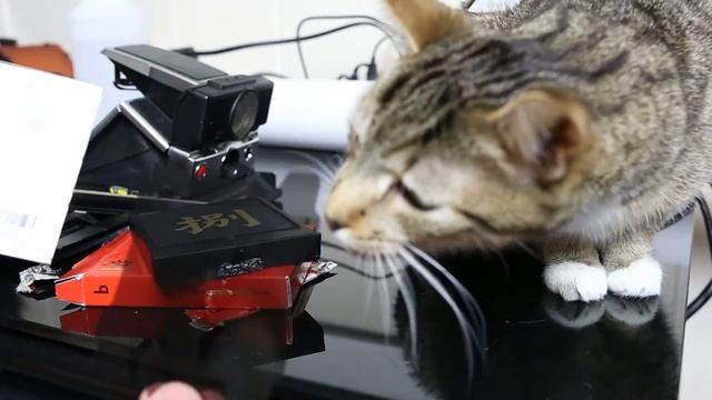 Polaroid SX-70 with Impossible ND Filter смотреть онлайн