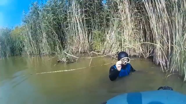 Ловля раков руками в норах на речке Гнилопять. Украина. Житомирская область. Бердичев