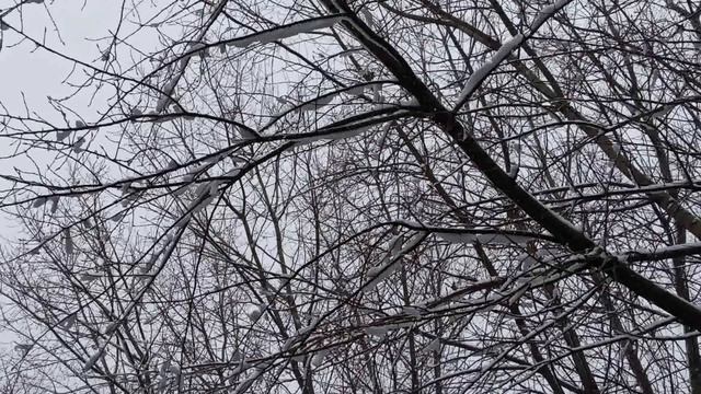 8 декабря народный праздник Клим Холодный. Что делать нельзя. Народные приметы и традиции. смотреть онлайн