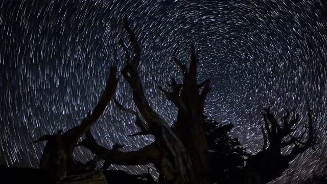 8Dio Score This: Constellations -David Young-The Heavens Resound смотреть онлайн