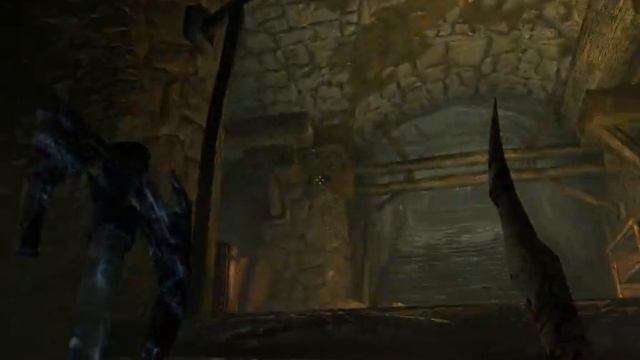 Прохождение TES V:Skyrim (Выносим предводителя серебряной руки)#10