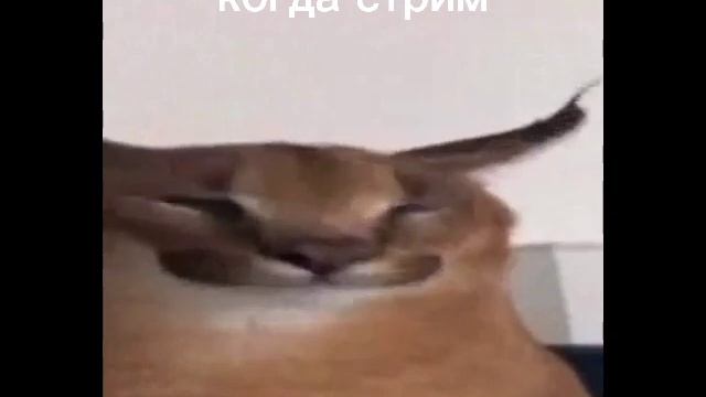 послание Доктору Игорю смотреть онлайн