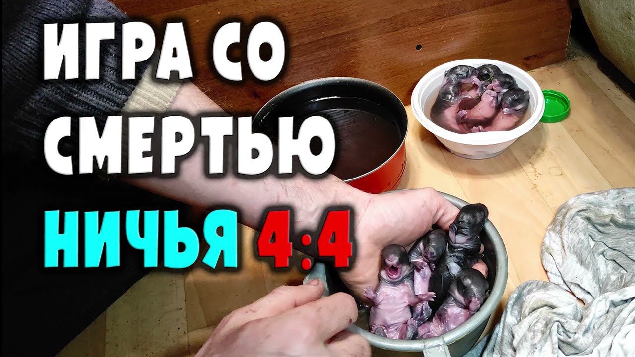 Анонс игры со смертью смотреть онлайн