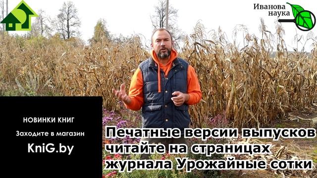 Цемент как удобрение. Как использовать ЦЕМЕНТ для огорода. Дешево и с пользой. подкормка цементом. смотреть онлайн
