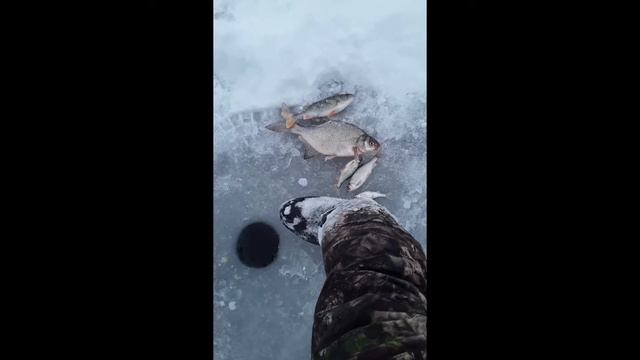 Условия розыгрыша смотреть онлайн