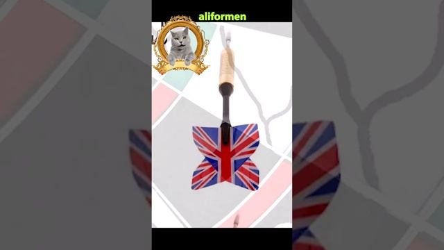 ДАРТС профессиональный #дартс #aliexpress #shorts смотреть онлайн