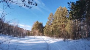 Yamaha Professional VK10/RS10, ямаха профессионал VK RS10