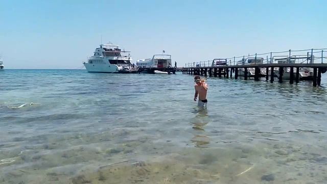 Отдых в Египте | Подарок мужу на день рождения смотреть онлайн