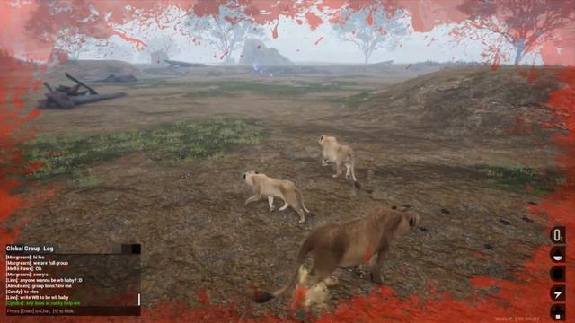 The Life Of A Orphan Lion | Animalia Survival смотреть онлайн