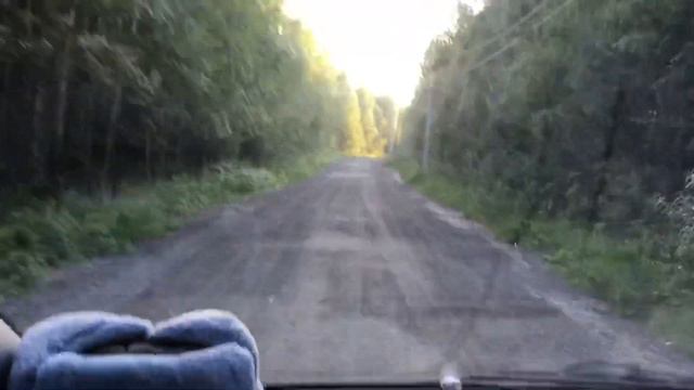 Владимир Владимирович,С Днём Рождения! 29 июля 2021 года.Трудности Газелистки.