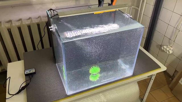 Аквариум с задним сампом. Если забьется слив, будет потоп? смотреть онлайн