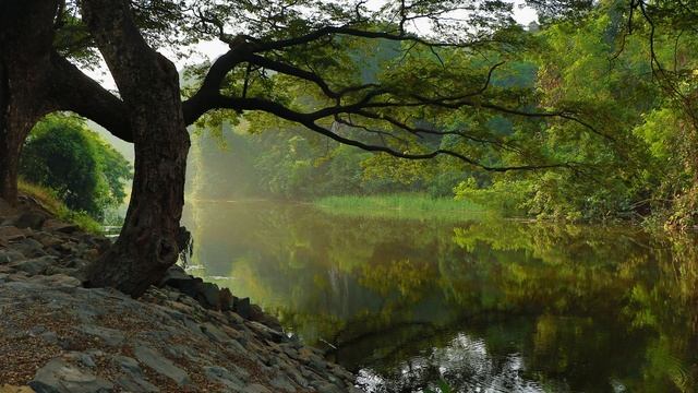 Избавление от негативных и навязчивых мыслей | Медитация смотреть онлайн