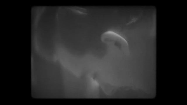 Оцифровка кинопленки в Тюмени 8 и 16 мм. Пример пленки 70-х годов в файл FullHD, г. Тюмень смотреть онлайн
