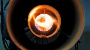 Всё, что нужно знать про участок доращивания поросят на свинокомплексе.