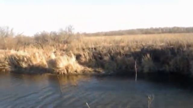 Гамакс 600.flv смотреть онлайн