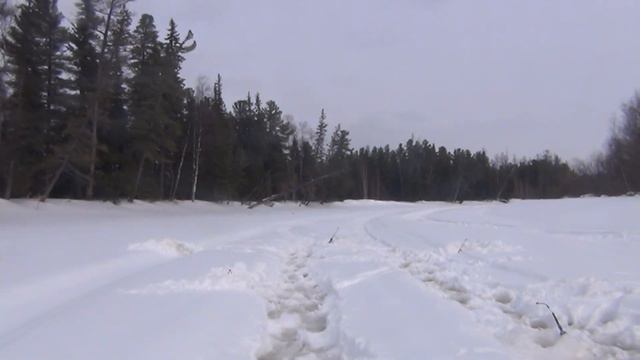 Прекрасный день на рыбалке, язёвое эльдорадо. #Sokolhobby#язь#сорога #fishing #рекомендации смотреть онлайн