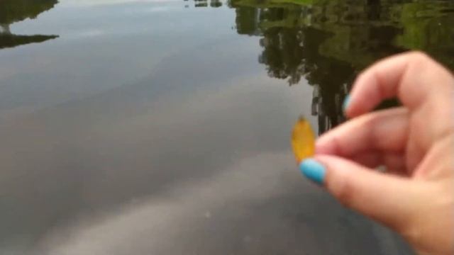 Освежающее видео для отдыха в жару. Теплая вода, река Волга смотреть онлайн