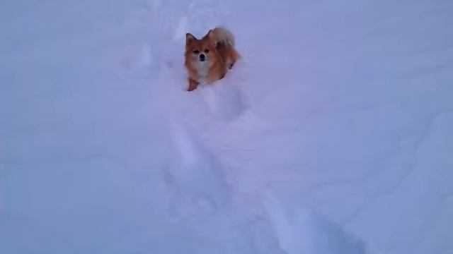 Сонька снегоход смотреть онлайн