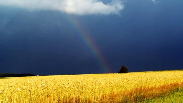 Ст.Архонская смотреть онлайн