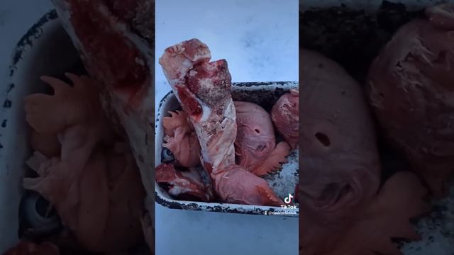 08.01.24 утро. Минус 13 смотреть онлайн