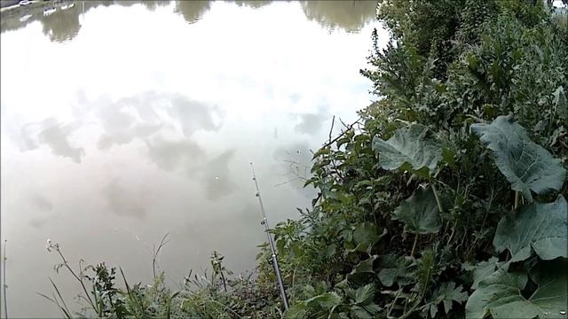 Рыбалка на КМВ, Монастырское озеро, ловля на поплавок ночью смотреть онлайн