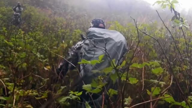 This Kodiak Bear Gets Revenge on Two Hunters! (Animals Gone WRONG) смотреть онлайн