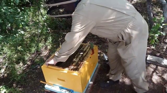 Делим семью на пол лета смотреть онлайн