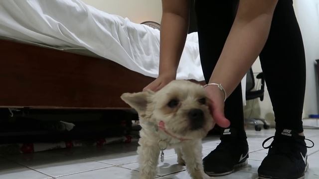 OUR MORNING ROUTINE AS A COUPLE!! (TRYING TO MAKE A BABY EDITION) смотреть онлайн