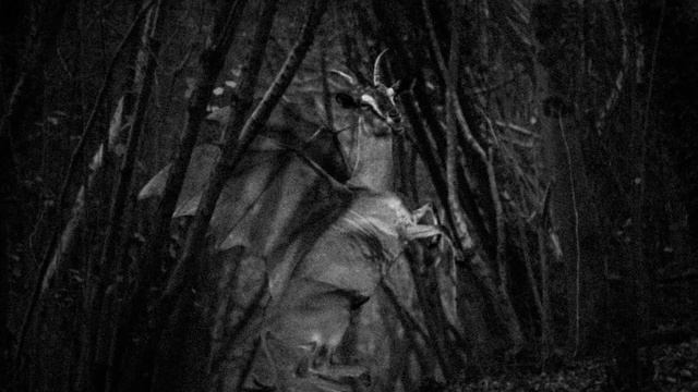 Jersey Devil, What is It? | Tales of Earth смотреть онлайн