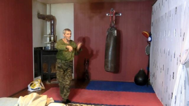 Universal combat system Стиль орла и змеи 09f смотреть онлайн