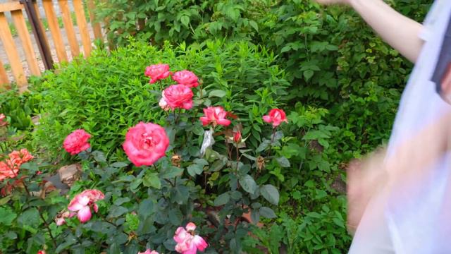 КОРОЧЕ ГОВОРЯ ЛЕТО В ДЕРЕВНЕ/УЖАСНОЕ ЛЕТО смотреть онлайн