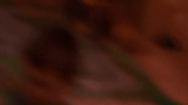 Умная розетка REDMOND. Дистанционное управлением осветительными приборами.