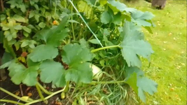 ЭЛЕКТРОГРЯДКА атмосферное электричество смотреть онлайн