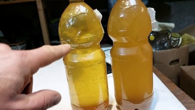 Осветление вина, очень просто, быстро, экологично смотреть онлайн