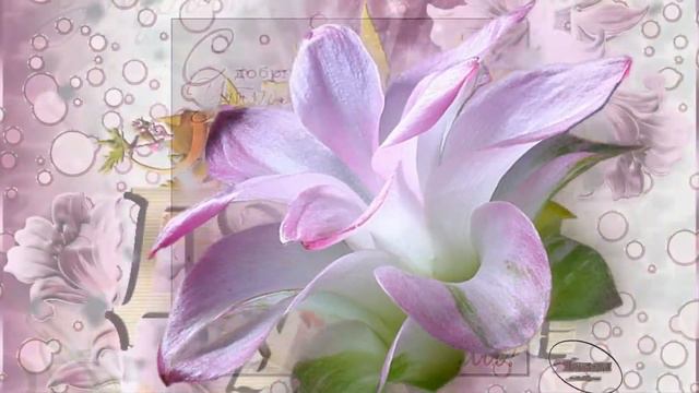 С добрым утром и хорошим днем Good morning and a good day смотреть онлайн