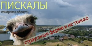ПИСКАЛЫ | Самарская область | Страусиная ферма и не только