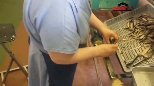 Упаковка шпрот в стеклянную банку смотреть онлайн