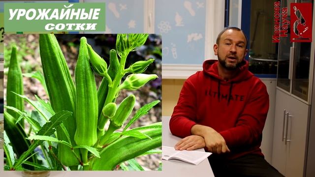 15 настоящих ОВОЩНЫХ ЭКЗОТОВ для вашего огорода! Что посадить, а от чего стоило бы и воздержаться! смотреть онлайн