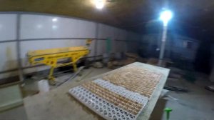 Дезинфекция инкубационного яйца перед закладкой в инкубатор! "Экоцид С"