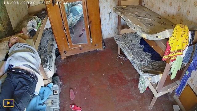 Bad Way to Wake Up || ViralHog смотреть онлайн