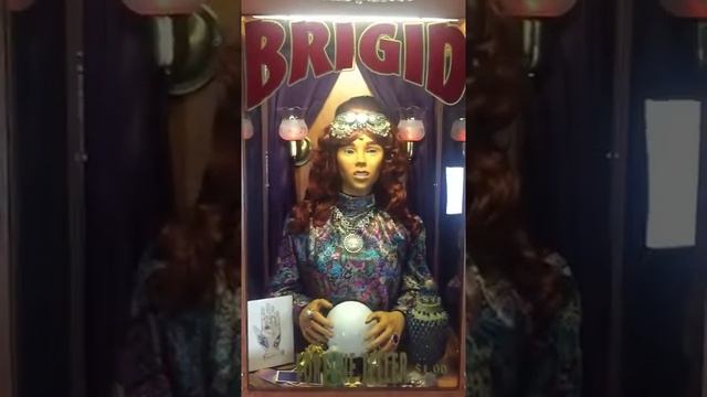 Brigid Knows All- Custom Fortune Teller смотреть онлайн