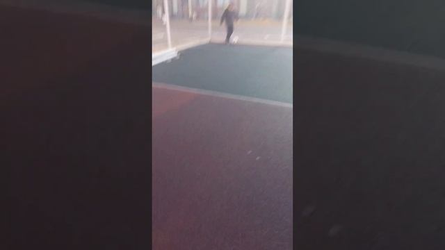 играем в козла на слово коза я выйграл смотреть онлайн