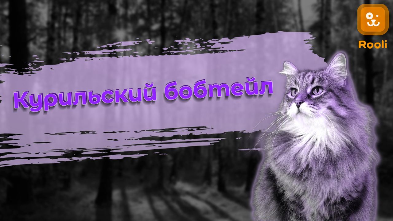 Курильский Бобтейл смотреть онлайн