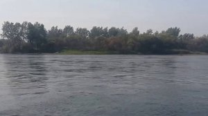 Испытания Wellboat 37 + Tohatsu 18