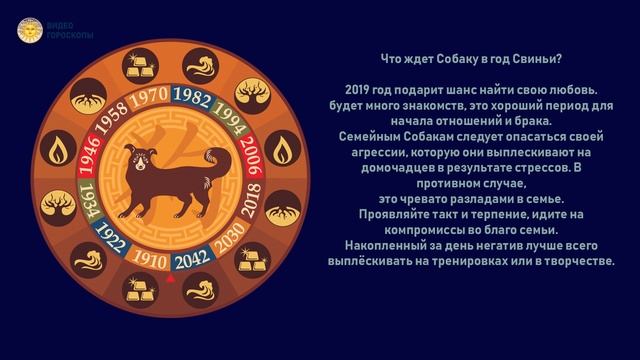 Собака в год Свиньи. Восточный гороскоп на 2019 год смотреть онлайн
