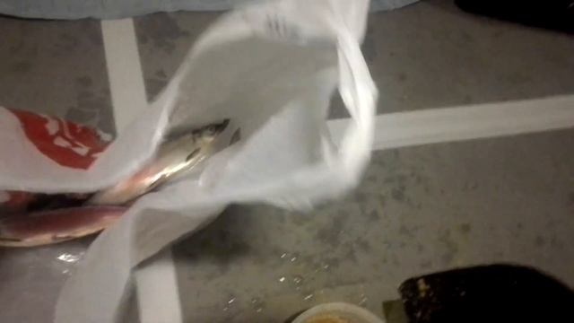 Увильды 24-25.02.2022, рыбалка на рипуса смотреть онлайн