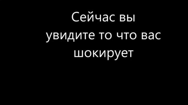 КРАСНОДАР.ЗООПАРК.ГОРОДСКОЙ ТРИП смотреть онлайн